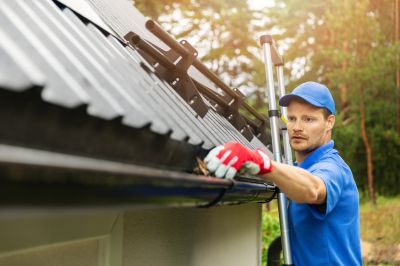 Gutter Washing Service detail