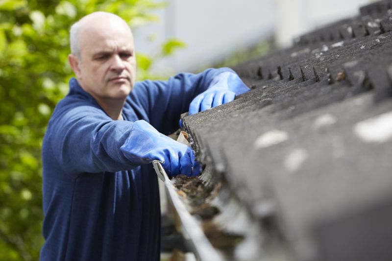 Gutter Washing Service detail